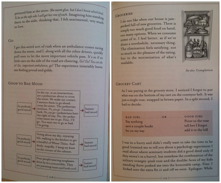 The end of the GROCERY CART entry on page 110 says, “unpacking the groceries at home, I realized the rose was still sitting there at the store, paid for, on the bottom of the cart.”