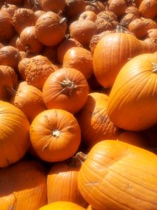 Pumpkins