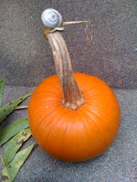 SnailOnPumpkin