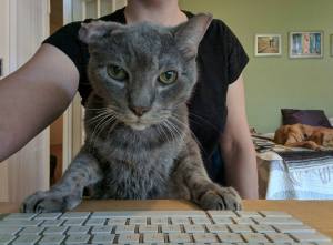 13631673_1025747600836551_1352360692598897161_n