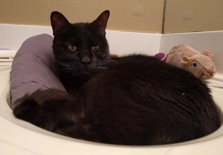 Gink, in a sink.