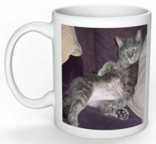 il_570xN.1271261183_8bec