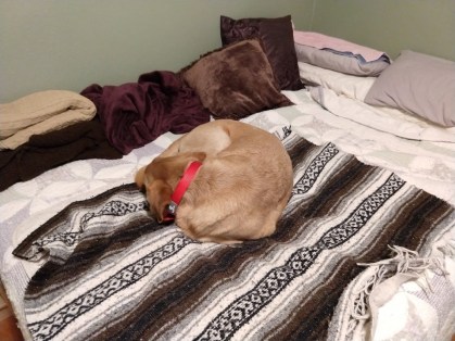 IMG_20180117_212524136