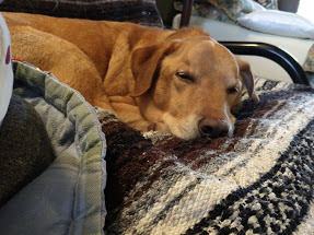 IMG_20180312_082758765_LL