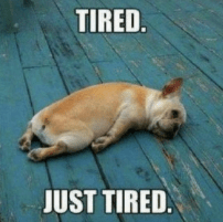 Screen Shot 2018-08-22 at 6.50.44 PM