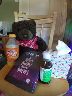 Photo of teddy bear, tissues, orange juice, medicine, and a book