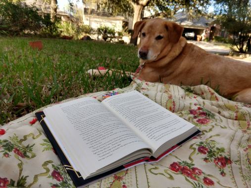 IMG_20190314_181043766_HDR