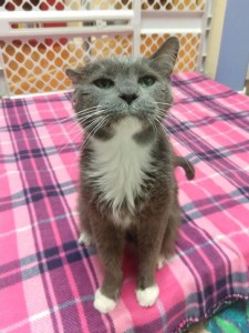 IMG_20190605_200918667