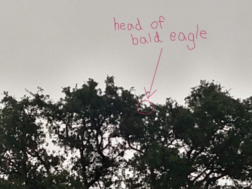 IMG_20190627_065112094_HDR