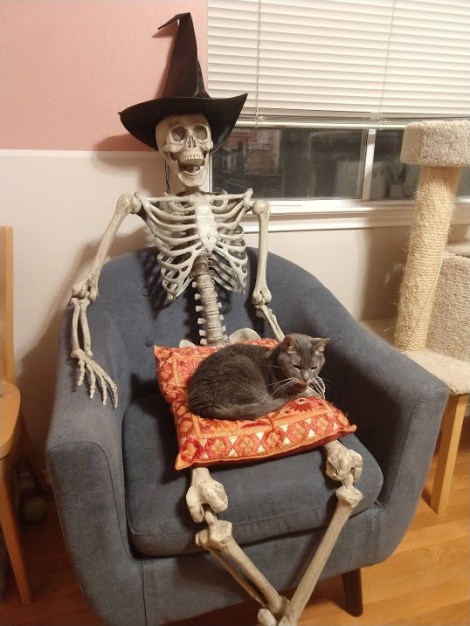 IMG_20181015_073638113