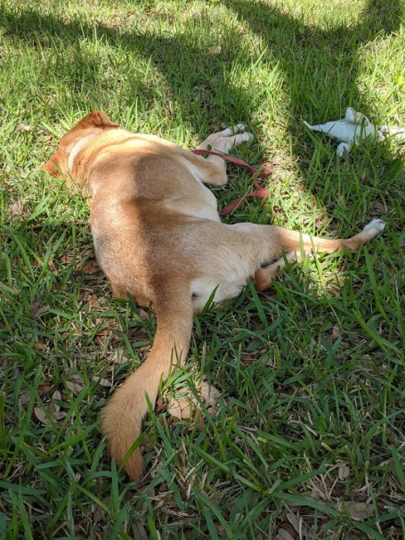 IMG_20200416_155606_MP