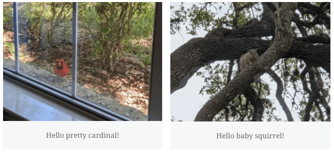 Screen Shot 2020-04-20 at 11.35.20 PM